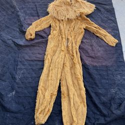 Lion Costume 