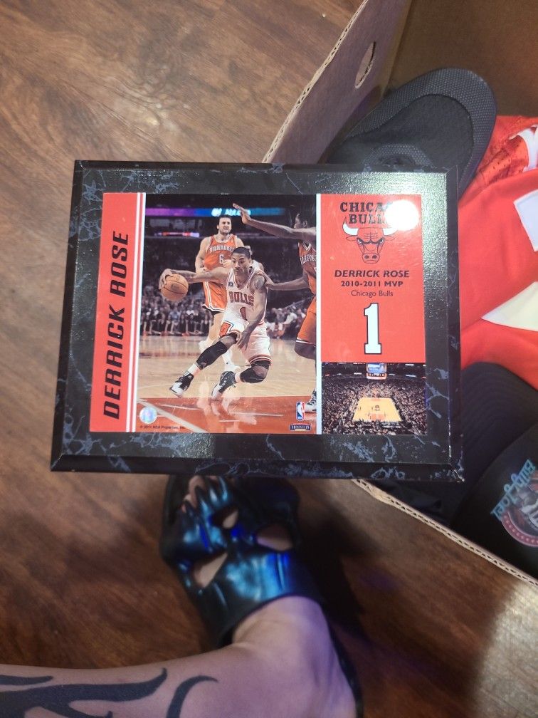 Derrick Rose Chicago Bulls, 2010 to 2011 MVP plaque

