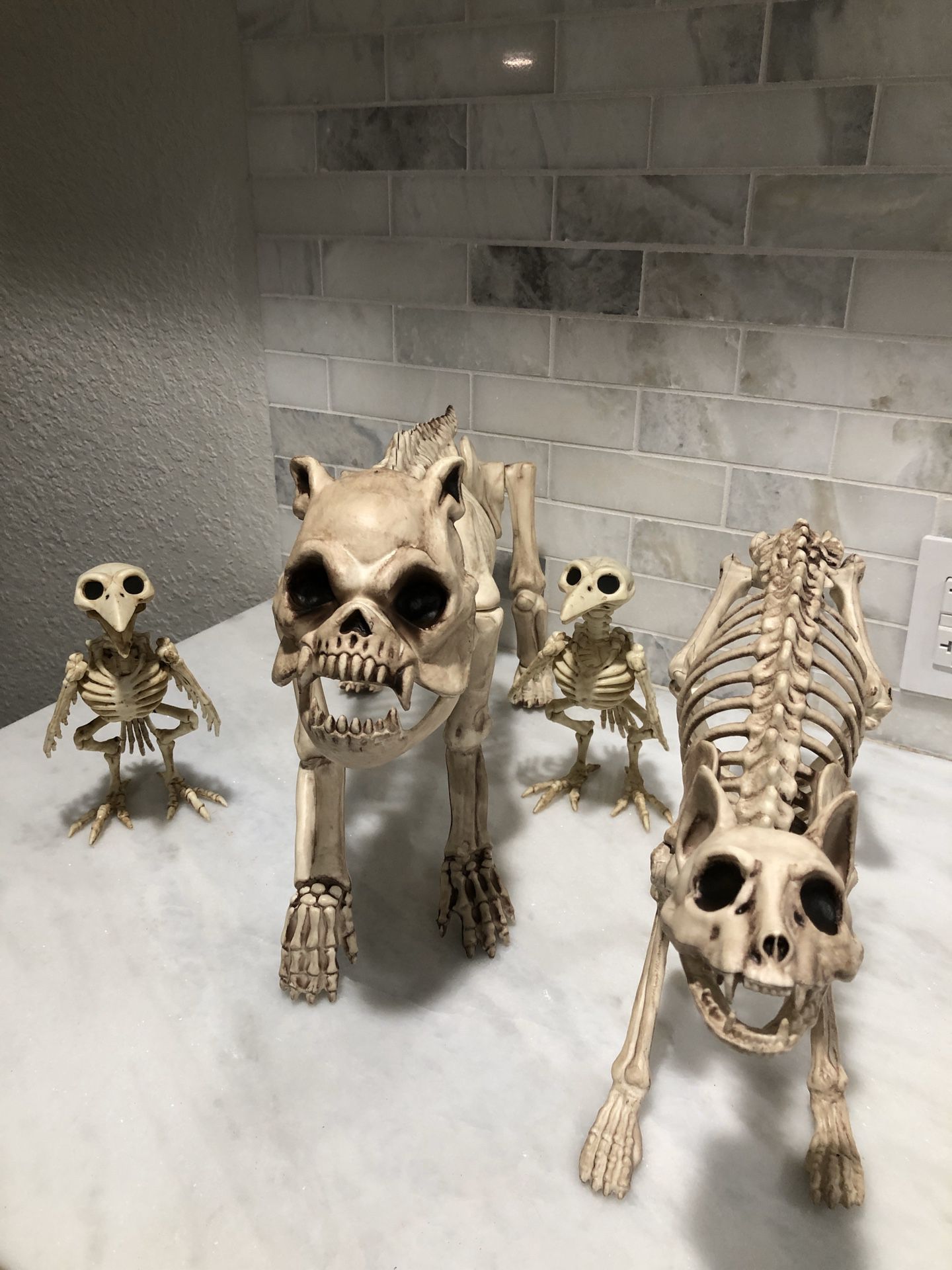 Skeleton animal family Halloween props
