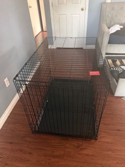 Large dog kennel
