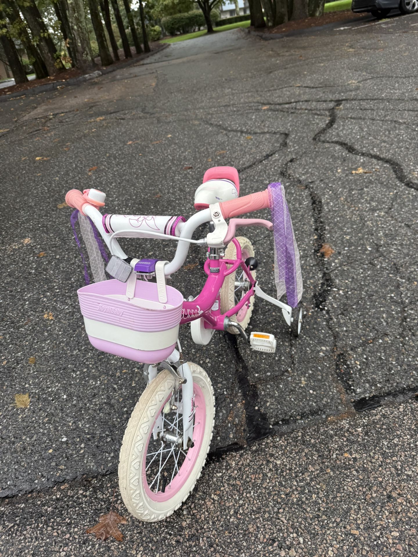 Kids Girl Bike 14 Inch Royalbaby Girls Bike Kids Bicycle with Basket Training Wheels 14 Inch
