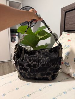 Coach hobo bag