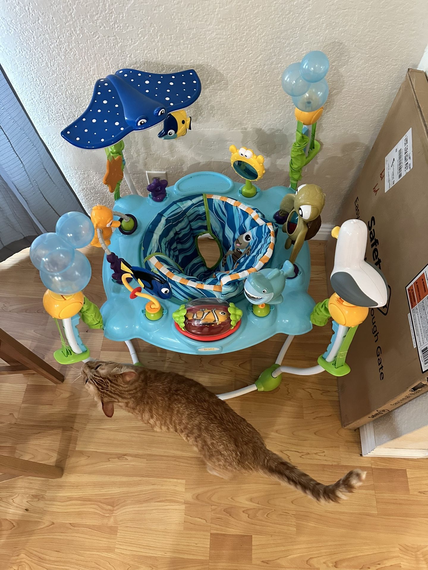 “Bright stars” Finding Nemo Baby bouncer