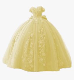 Quinceañera/ Party Dress