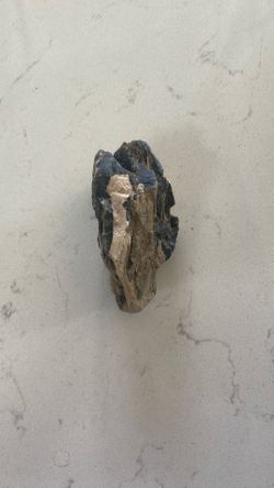 Petrified Wood