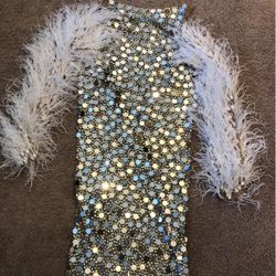 Sequin Dress with Feather Sleeves