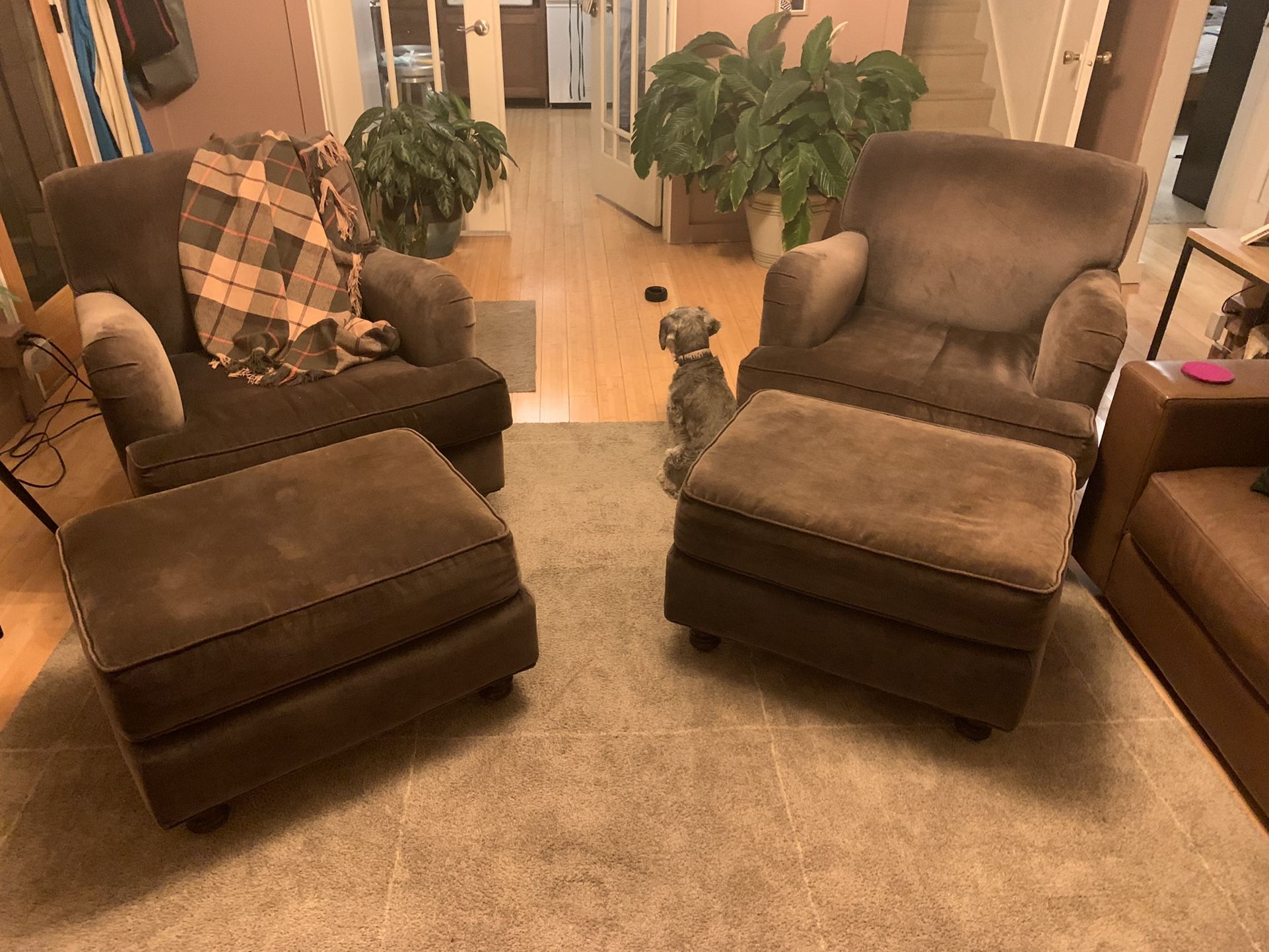 Pottery Barn Carlisle Armchairs 
