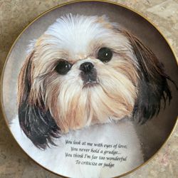 Vintage Shih Tsu “Eyes Of Love” Danbury Mint Collector Plate