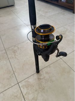 Fishing Reel and Rod Digi Gear BG6500