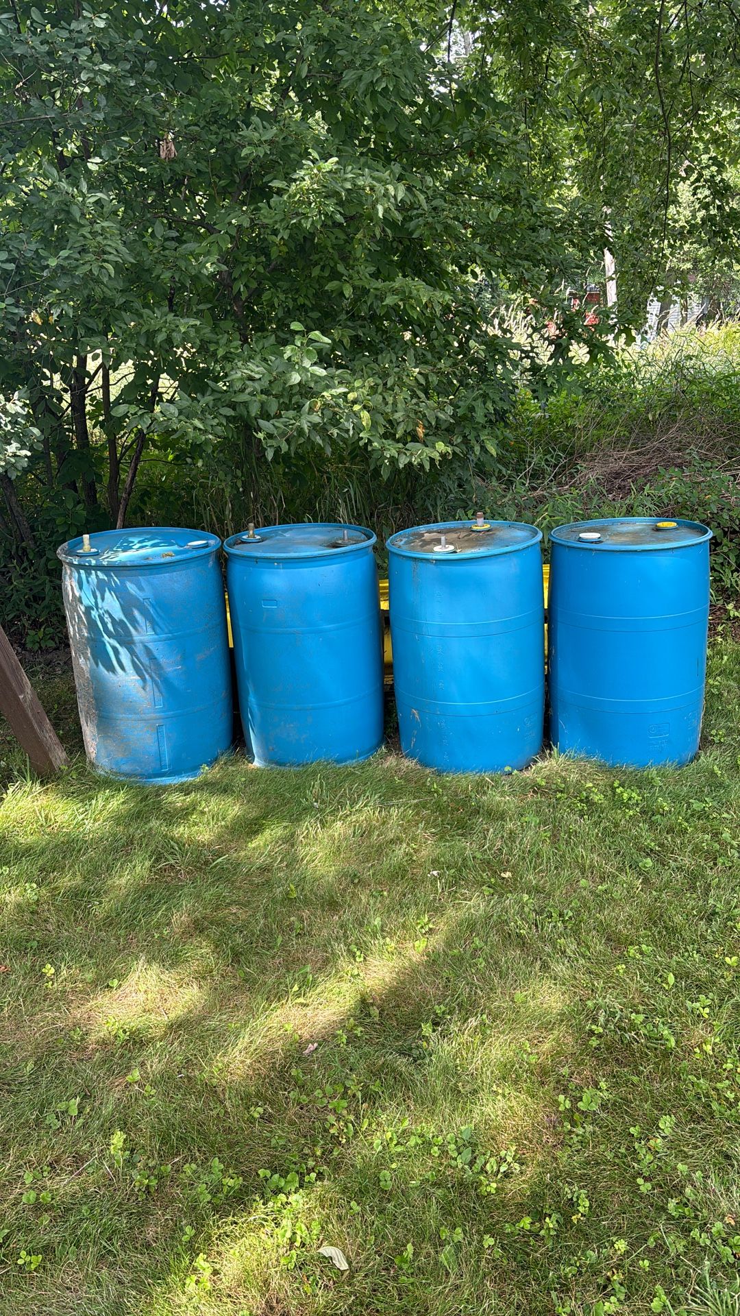 Rain Barrels 