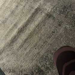 Rug Carpet 