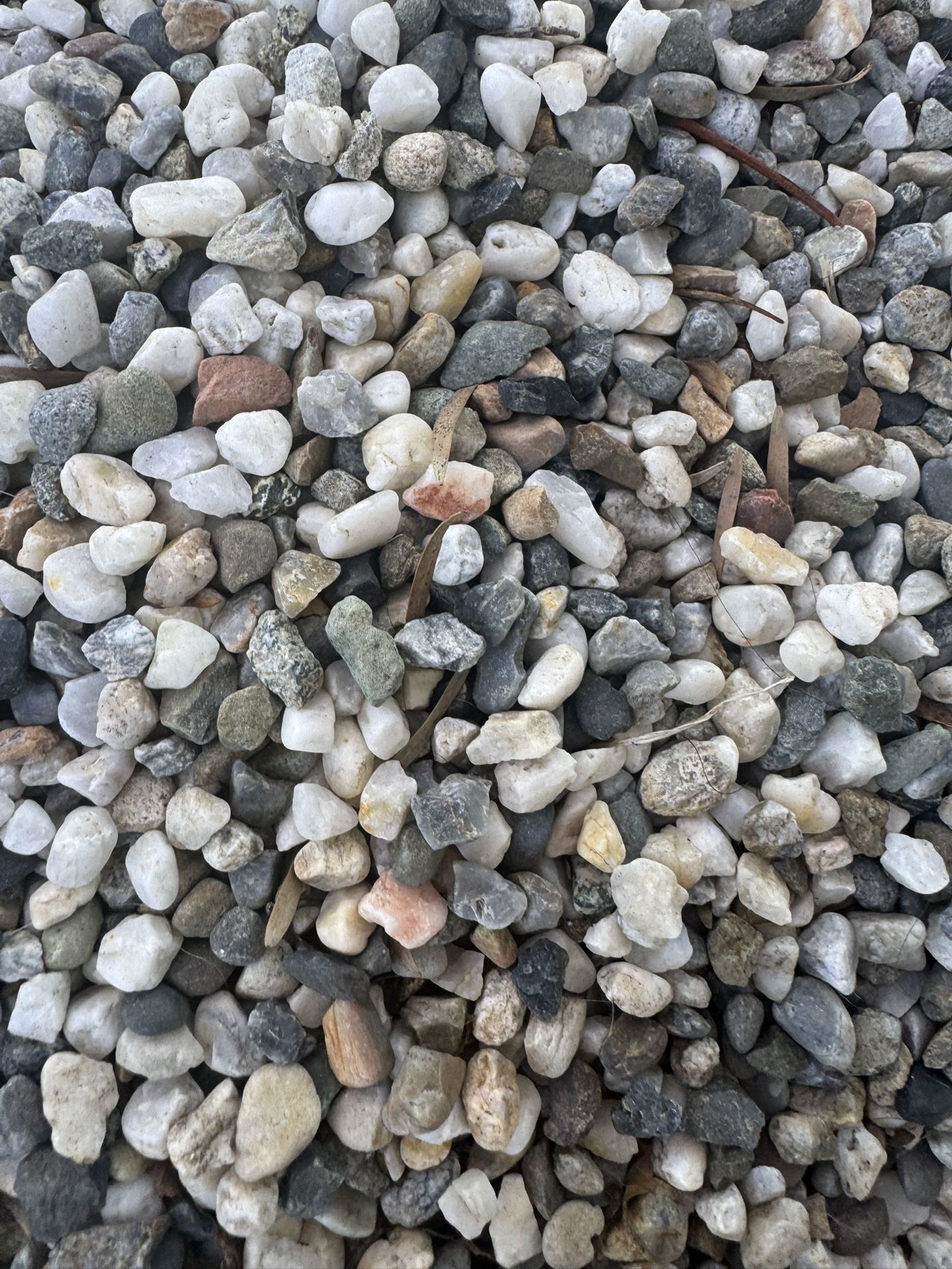 Pebble Roc River Rock Pebbles - $3 for every 50 Pounds for Sale in Norwalk, CA ...
