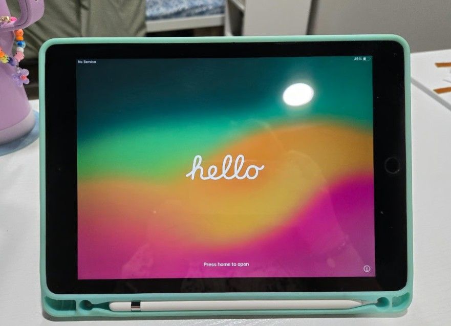 iPad (5th generation)
