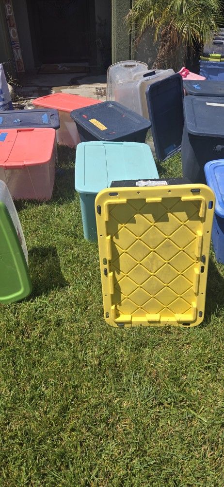 Containers Different Sizes