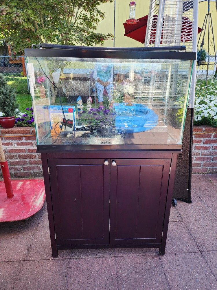 29 Gallon Tank