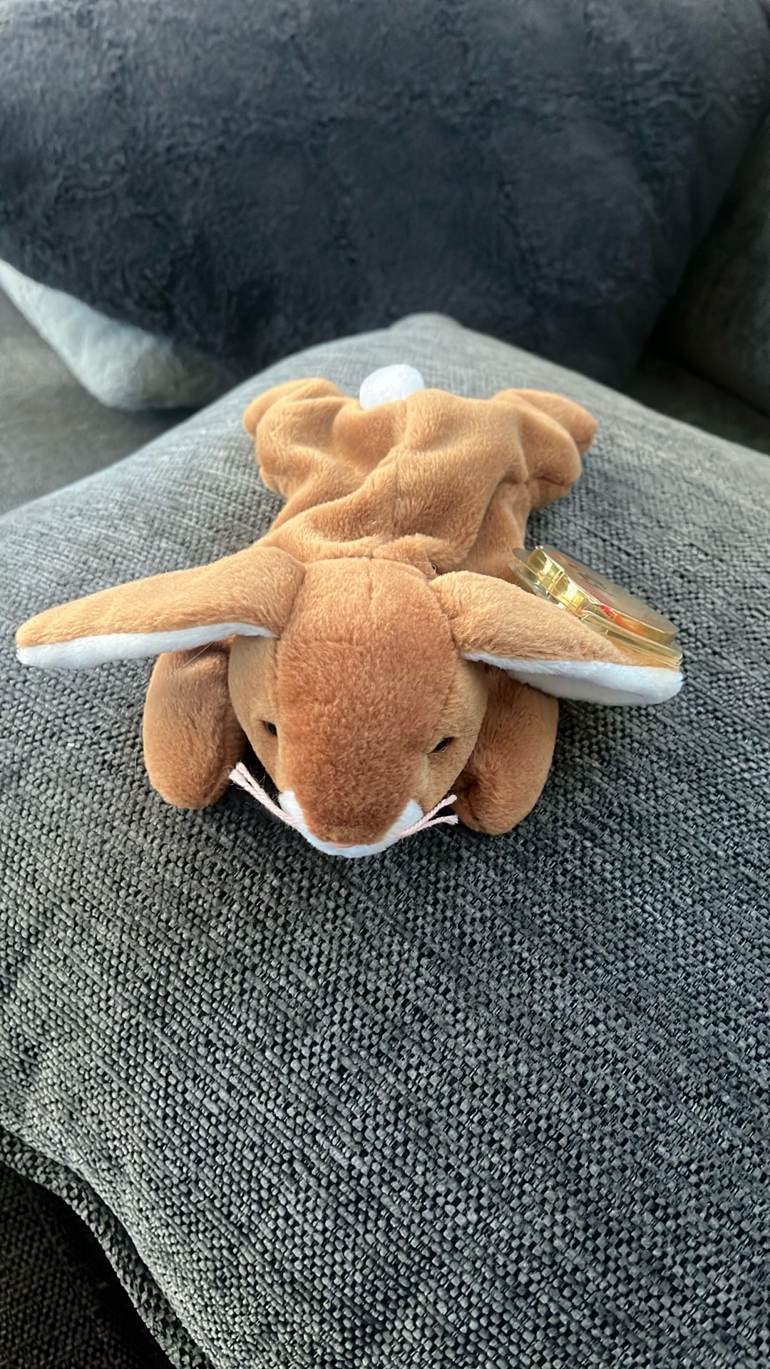 Ears Beanie Babies Tag Error
