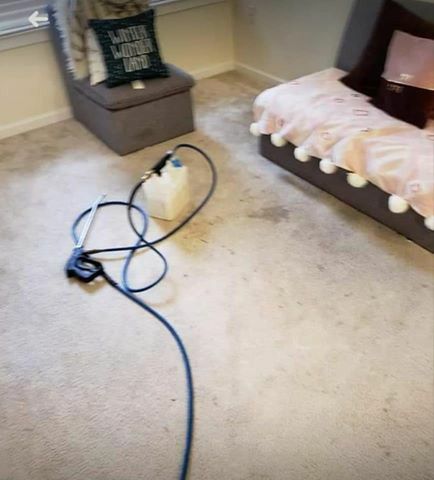 Carpet clean