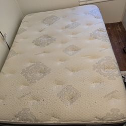 Full Size Mattress and Box Spring