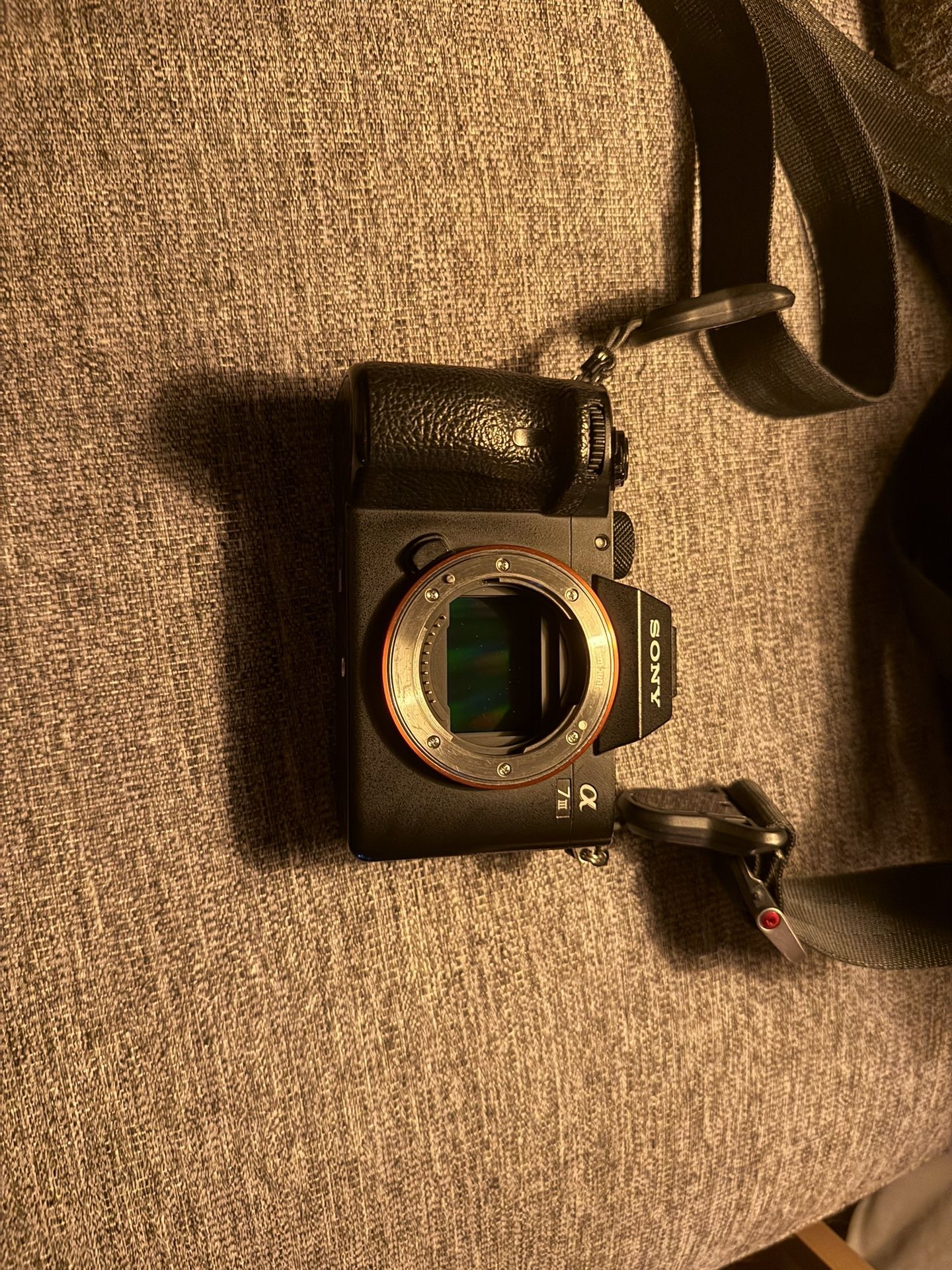Sony A7iii