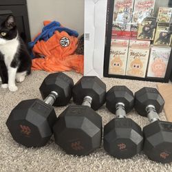 15/25 Lbs dumbbells 