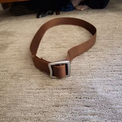 Brown Patagonia Belt 