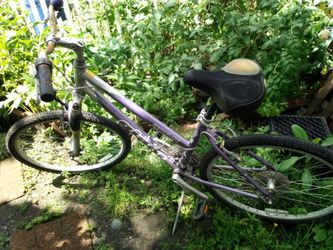 Giant Sedona DX