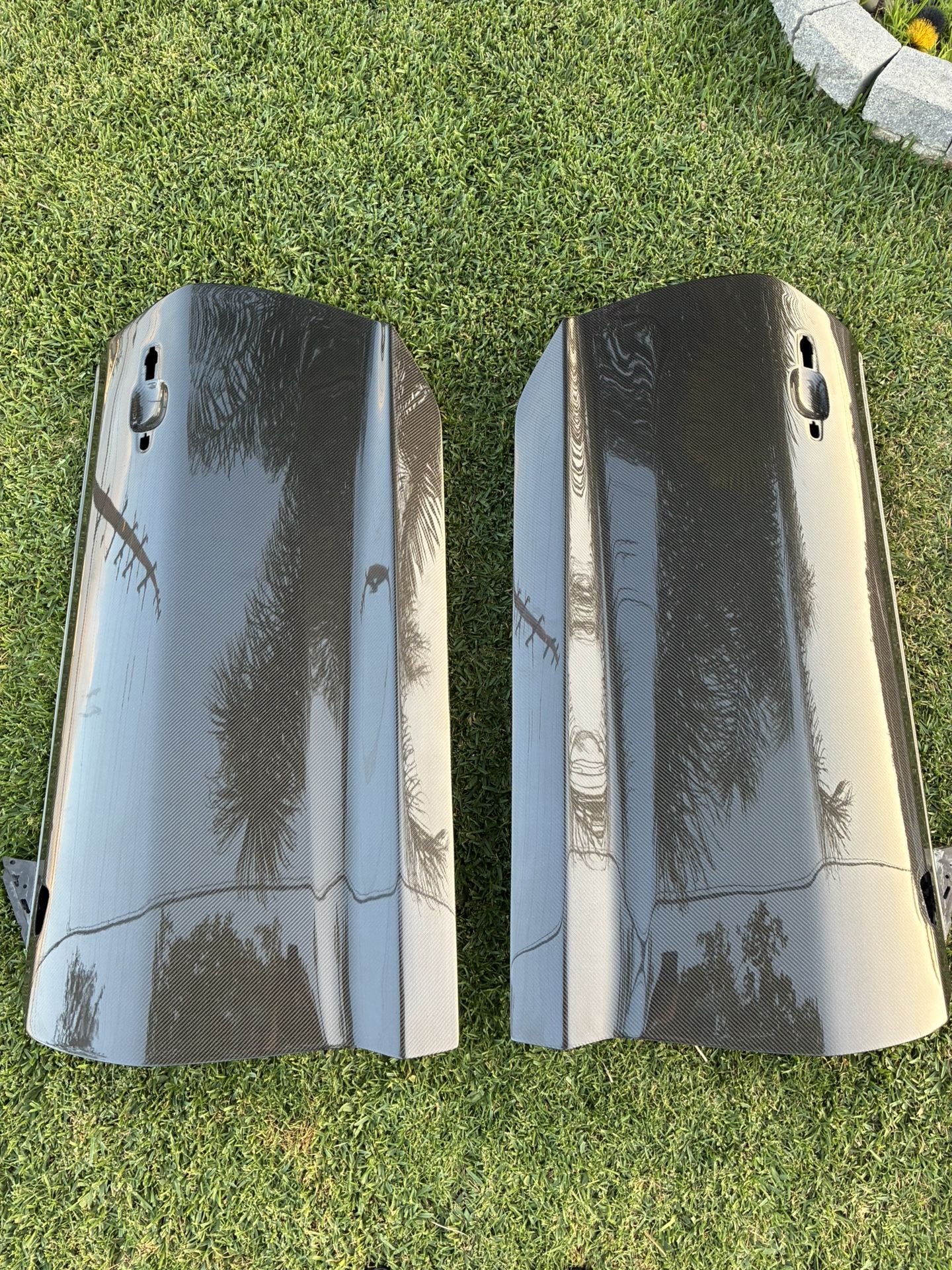 Carbon Fiber Doors