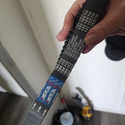 Timing Belt