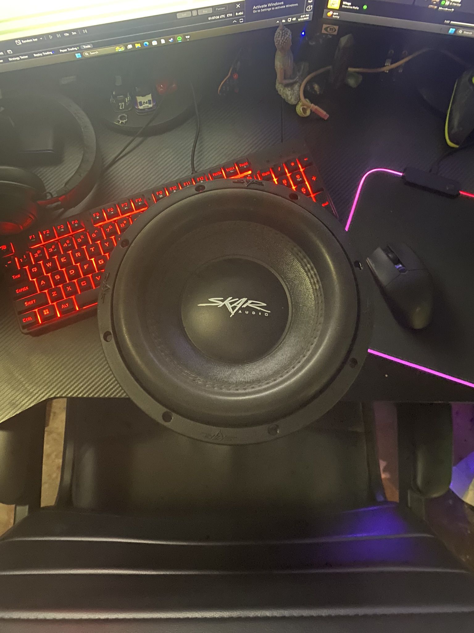 Skar 10” Inch Subwoofer