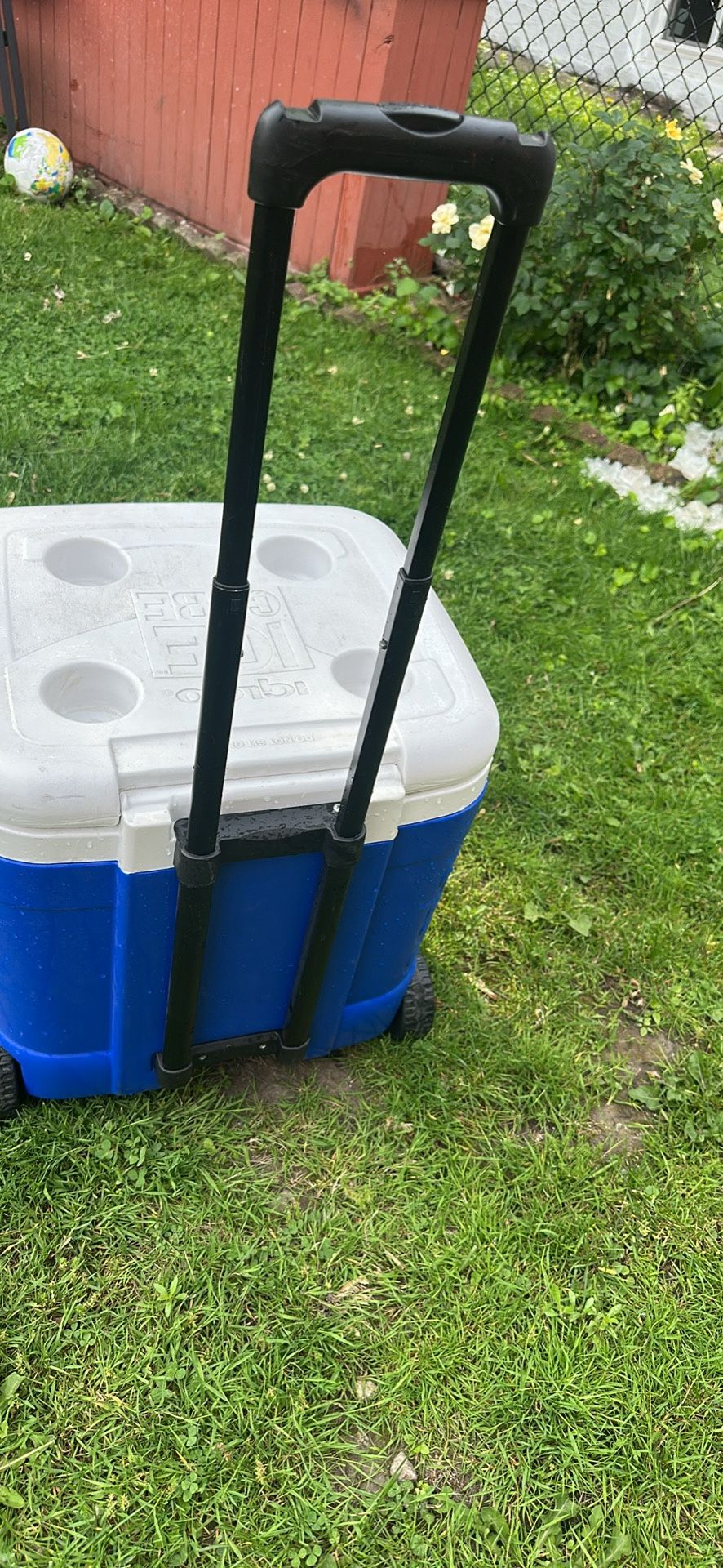 Cooler