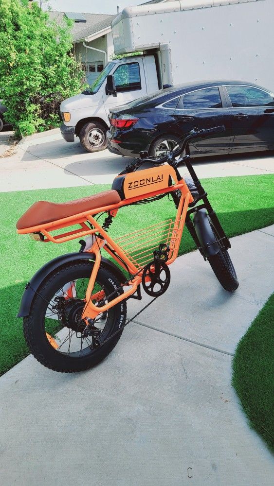 Electric Cruiser Bike 1000W 30MPH