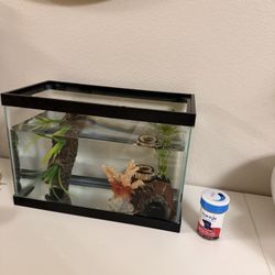 2.5 Gallon Fish Tank
