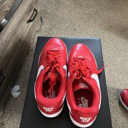 Jordan Dunks