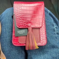 K.Carroll Crossbody Purse NWT
