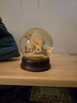 Snow Globe