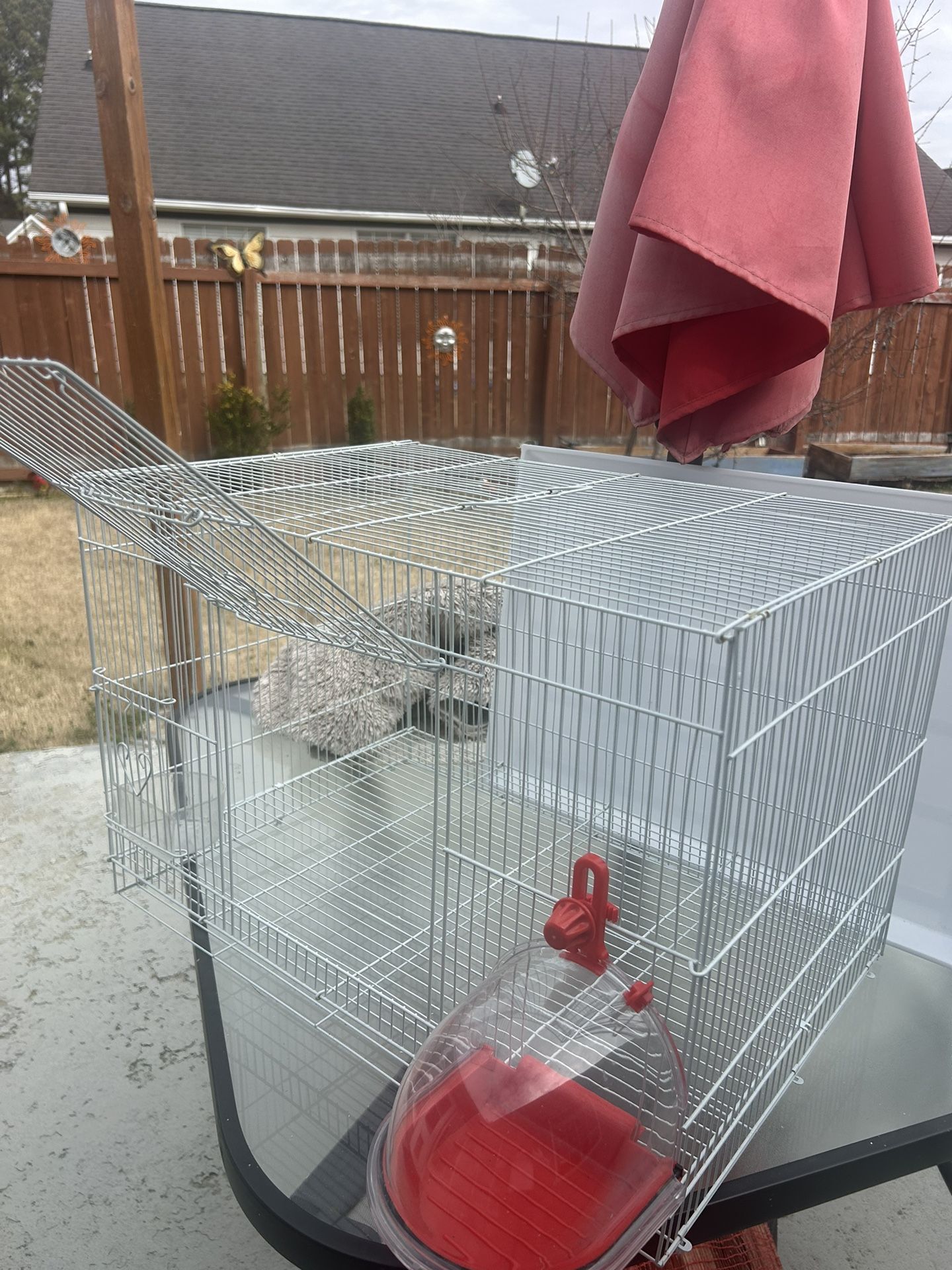 Bird Cage