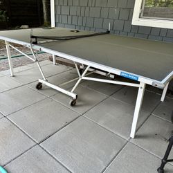 Outdoor Ping Pong Table