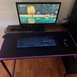 GAMING PC AND MONITOR