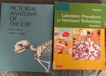 Laboratory proceduresfor get tech tech and anatomy of cat