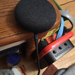 Google home mini nest