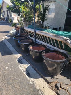 Black ceramic pots