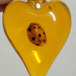 Brand New 2.5" Lady Beetle Encased In Amber-color Resin Pendant Necklace Ready. NO NECKLACE INCLUDED PENDANT ONLY. The object in the image is a resin-