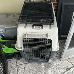 Dog Crates