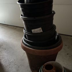 Free Plant Pot