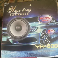 Replacement Speaker 6”