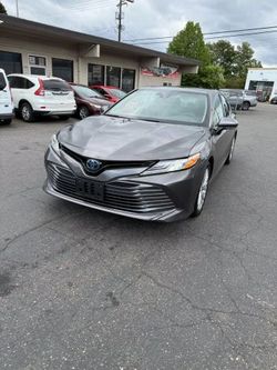 2020 Toyota Camry Hybrid