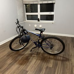 Bicecle with brand new tires! (MUST GO THIS WEEK -moving out)