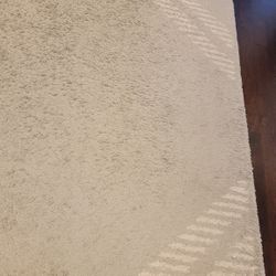 Rug Area