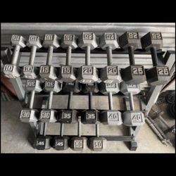Dumbells 10-50  Complete With Rack  (540lbs)