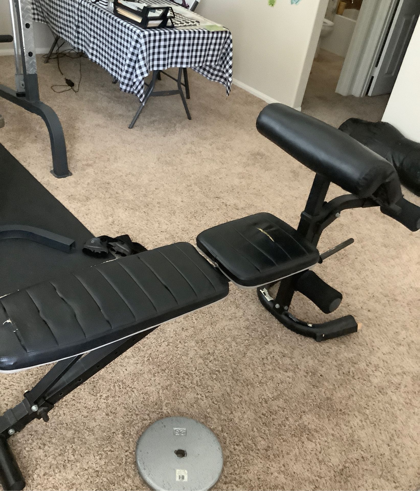 Bench and 25 lb Weight